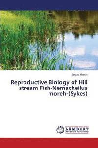 bokomslag Reproductive Biology of Hill Stream Fish-Nemacheilus Moreh-(Sykes)