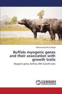 bokomslag Buffalo Myogenic Genes and Their Association with Growth Traits