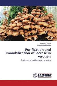 bokomslag Purification and Immobilization of Laccase in Xerogels