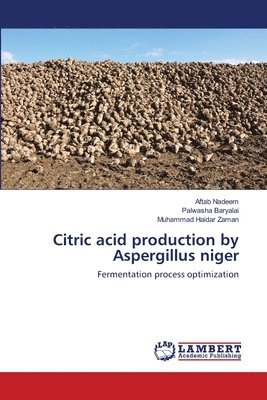 bokomslag Citric acid production by Aspergillus niger