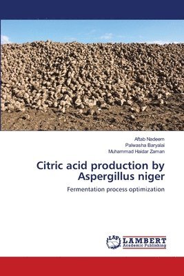 Citric acid production by Aspergillus niger 1