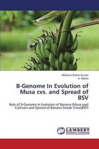 bokomslag B-Genome in Evolution of Musa CVS. and Spread of Bsv