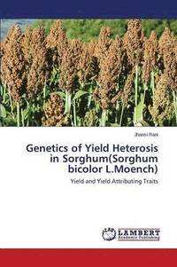 bokomslag Genetics of Yield Heterosis in Sorghum(sorghum Bicolor L.Moench)