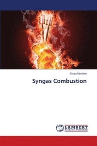 bokomslag Syngas Combustion