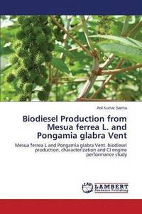 bokomslag Biodiesel Production from Mesua ferrea L. and Pongamia glabra Vent