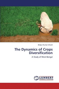 bokomslag The Dynamics of Crops Diversification