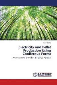 bokomslag Electricity and Pellet Production Using Coniferous Forest