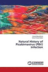 bokomslag Natural History of Picobirnavirus (PBV) Infection