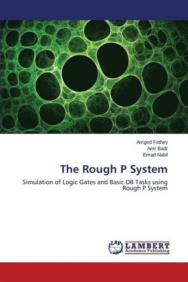 bokomslag The Rough P System