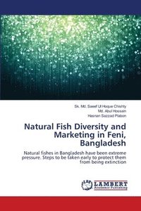 bokomslag Natural Fish Diversity and Marketing in Feni, Bangladesh