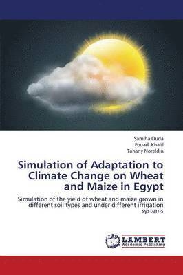 Simulation of Adaptation to Climate Change on Wheat and Maize in Egypt 1