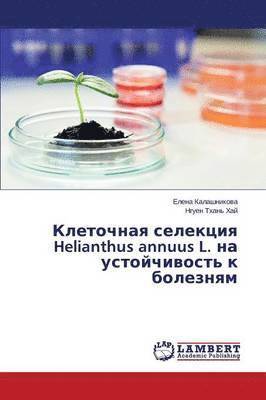 &#1050;&#1083;&#1077;&#1090;&#1086;&#1095;&#1085;&#1072;&#1103; &#1089;&#1077;&#1083;&#1077;&#1082;&#1094;&#1080;&#1103; Helianthus annuus L. &#1085;&#1072; 1