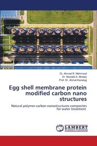 bokomslag Egg shell membrane protein modified carbon nano structures