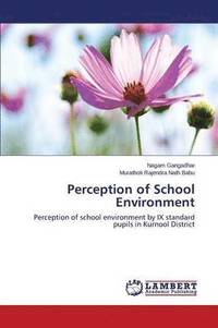 bokomslag Perception of School Environment