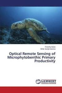 bokomslag Optical Remote Sensing of Microphytobenthic Primary Productivity
