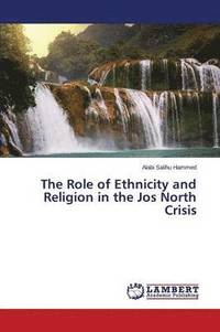 bokomslag The Role of Ethnicity and Religion in the Jos North Crisis