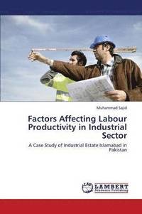 bokomslag Factors Affecting Labour Productivity in Industrial Sector