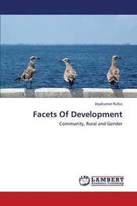 bokomslag Facets of Development