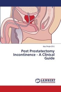 bokomslag Post Prostatectomy Incontinence - A Clinical Guide