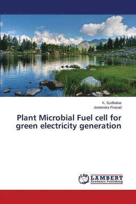 Plant Microbial Fuel Cell for Green Electricity Generation 1