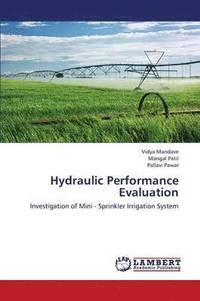 bokomslag Hydraulic Performance Evaluation