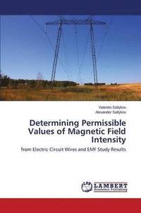 bokomslag Determining Permissible Values of Magnetic Field Intensity