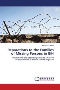 bokomslag Reparations to the Families of Missing Persons in BiH