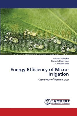 bokomslag Energy Efficiency of Micro-Irrigation