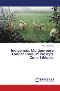 bokomslag Indigenous Multipurpose Fodder Trees Of Wolayta Zone, Ethiopia