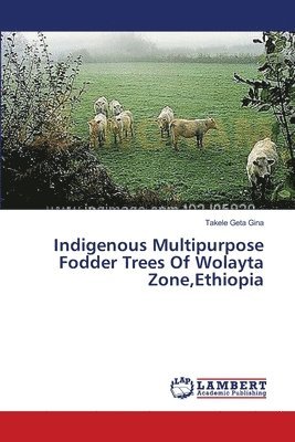 Indigenous Multipurpose Fodder Trees Of Wolayta Zone, Ethiopia 1
