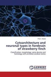 bokomslag Cytoarchitecture and Neuronal Types in Forebrain of Strawberry Finch