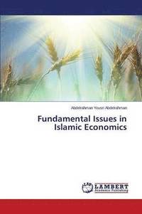 bokomslag Fundamental Issues in Islamic Economics
