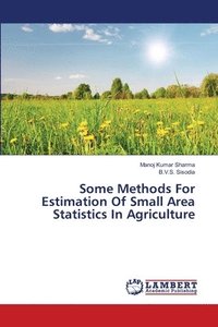 bokomslag Some Methods For Estimation Of Small Area Statistics In Agriculture