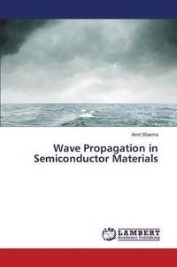 bokomslag Wave Propagation in Semiconductor Materials