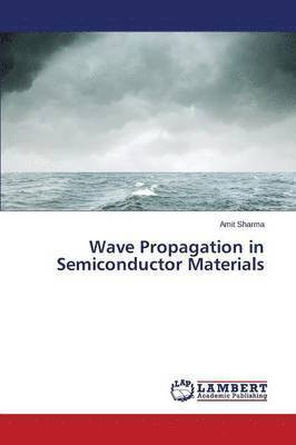 Wave Propagation in Semiconductor Materials 1