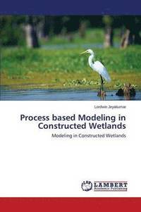 bokomslag Process Based Modeling in Constructed Wetlands