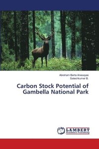 bokomslag Carbon Stock Potential of Gambella National Park