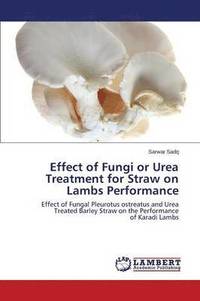 bokomslag Effect of Fungi or Urea Treatment for Straw on Lambs Performance