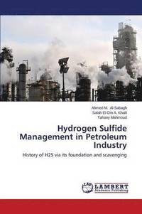 bokomslag Hydrogen Sulfide Management in Petroleum Industry