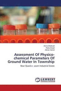 bokomslag Assessment of Physico-Chemical Parameters of Ground Water in Township