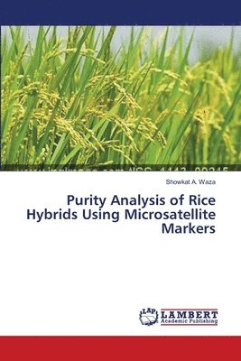 bokomslag Purity Analysis of Rice Hybrids Using Microsatellite Markers