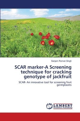 SCAR marker-A Screening technique for cracking genotype of jackfruit 1