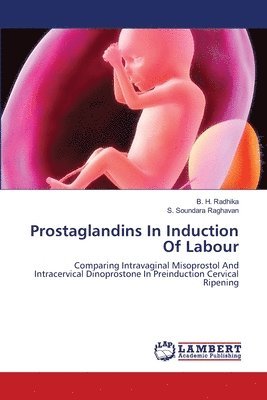 bokomslag Prostaglandins In Induction Of Labour