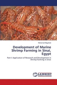 bokomslag Development of Marine Shrimp Farming in Sinai, Egypt