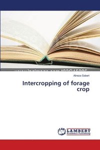 bokomslag Intercropping of forage crop
