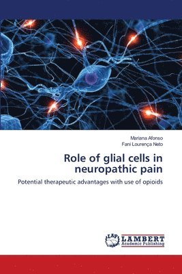 Role of glial cells in neuropathic pain 1
