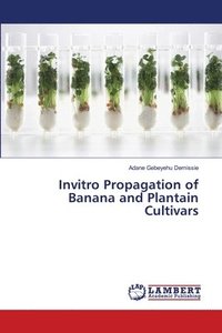 bokomslag Invitro Propagation of Banana and Plantain Cultivars