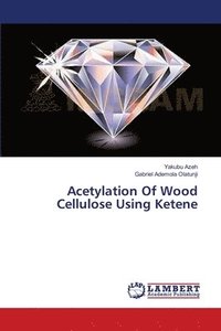 bokomslag Acetylation Of Wood Cellulose Using Ketene