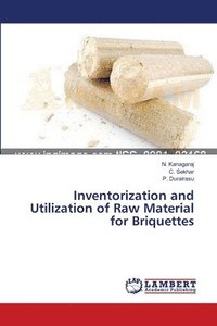bokomslag Inventorization and Utilization of Raw Material for Briquettes