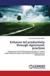 bokomslag Enhance Tef Productivity Through Agronomic Practices